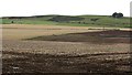 Potato field, Derachie