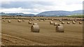 Round bales, Meikle Coul