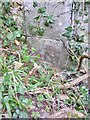 Benchmark on gatepost off Invalids Walk, Llandudno