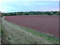 Ploughed Field