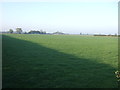 Farmland near Acaster Malbis