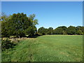 As seen on the path from Boughton Hall Avenue to Send Barns Lane (6)