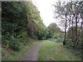 Cyclepath in Clydach Gorge