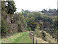 Cyclepath in Clydach Gorge