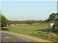 Epping Forest near Chingford