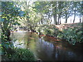 The River Esk at Dibble Bridge