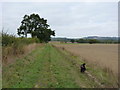 Permissive path in the fields west of Lushcott