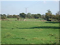 Farmland, Catterton