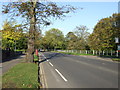 Tadcaster Road (A1036)