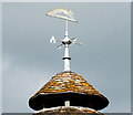SU0725 : Weather vane on the dovecote by Jonathan Kington