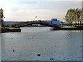 SE5901 : Bridge, Doncaster Lakeside by David Dixon
