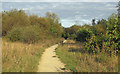 TQ5781 : Oak Wood path by Roger Jones