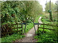 Path from the Stockley Trail to the fishing lake and Carr Vale