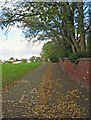 Footpath & cycleway to High Street, Wollaston, Stourbridge