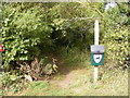 Footpath to Barell