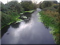 The River Mole, West Molesey