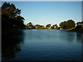 The lake on Canoe Lake Road, Ryde