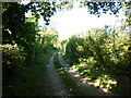 A path leading to Nettlestone