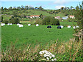 Fields below Mudgley