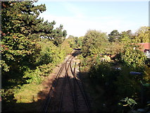 TQ3670 : Railway to New Beckenham by David Anstiss