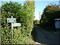 A bridleway off Ashey Road