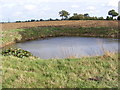 Pond off Cratfield Lane