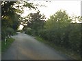 The lane at Aston Fields Farm