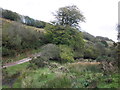 Track leading to Lyshwell Farm