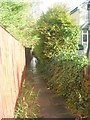 Footpath - Ashfield Avenue