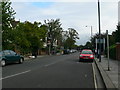 TQ1673 : March Road, Twickenham by Eirian Evans