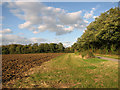 View towards Lowood, Hasketon