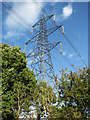 Electricity pylon by Byng Bridge