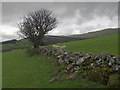 Drystone wall about to get wet, very wet