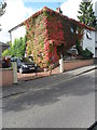 Virginia Creeper covered house, Bank Head, Blairgowrie