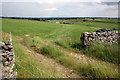 Farmland near Bellerby Camp rifle ranges