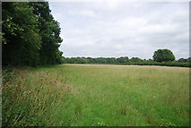 TQ6654 : Field south of Mereworth Woods by N Chadwick