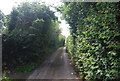 Between high hedges