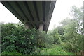 Beneath the Mederbridge Road Bridge.