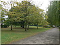 The Thames Path at Canbury Gardens