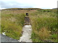 Six steps up to a dark green utility box north of Varteg