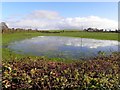 Flooded field, Ballycreely