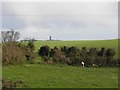 Ballycreely Townland