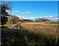 Minor road,Moyne Moor