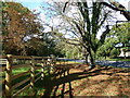 Path from Park Farm arriving at Chestnut Avenue