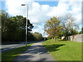 Lamppost in Chestnut Avenue