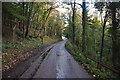 Mid Devon : Country Road