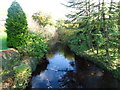 Endrick Water, Low Bridge