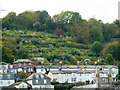 Allotments above Houses in Dartmouth