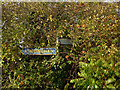 Grand Union Canal direction sign, Bull