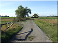 Farm track (footpath) off Broadgate Lane